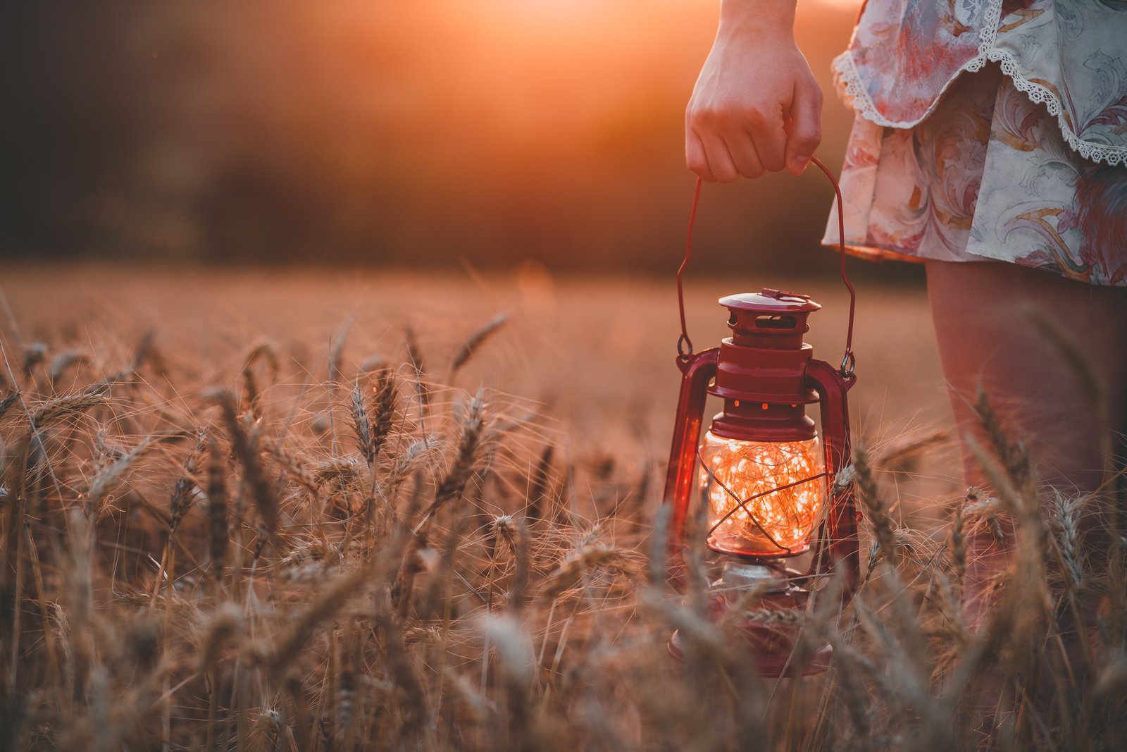 Caucasian girl off-centered in image. Standing in wheat field at sunset, holding red lantern filled with white light strands glowing