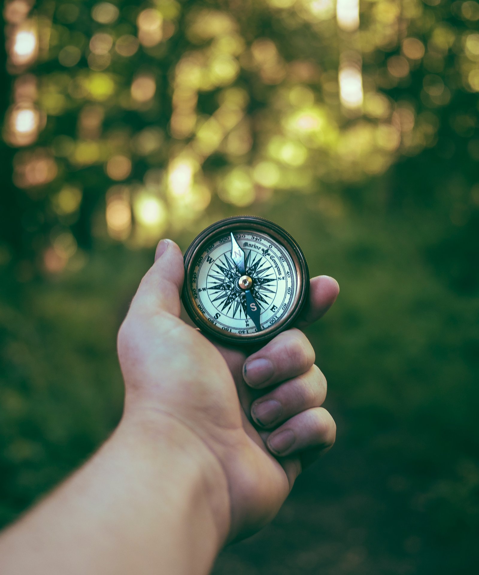 Image of a hand holding out a compass