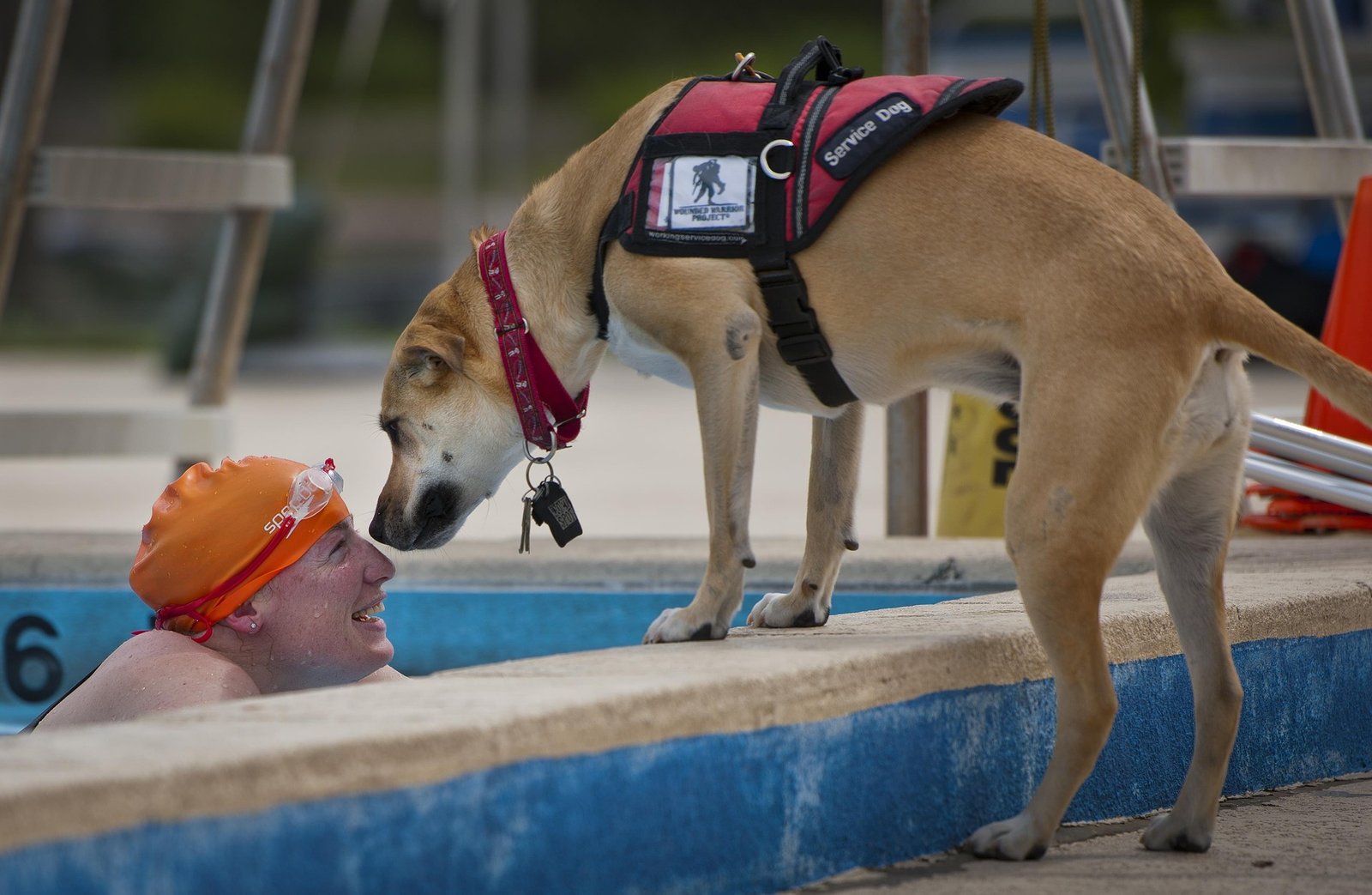 Caucasion person in swimming pool with orange swim cap smiling while a service dog sniffs her face.